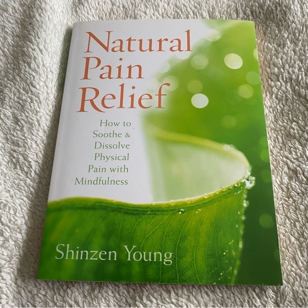 Natural Pain Relief by Shinzen Young trade paperback 2011​​​​​​